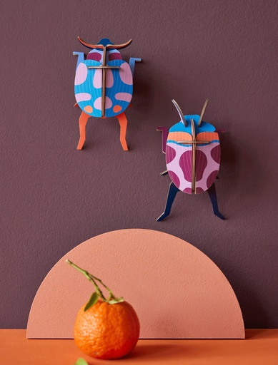 COCCINELLE-COUPLE_WEBSITE-AMBIENT.gif