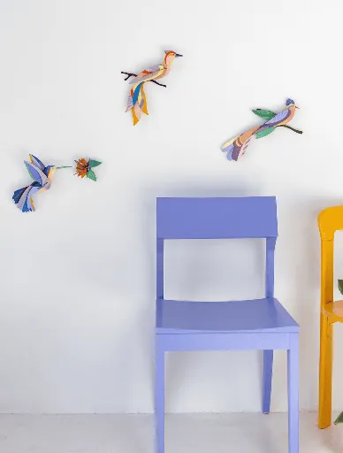 paradise-bird-website-ambient-picture-1-1761137959.webp