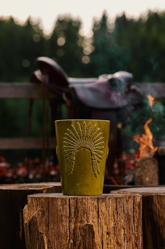 Eagle's Pride Sitting Bull ambiance 1