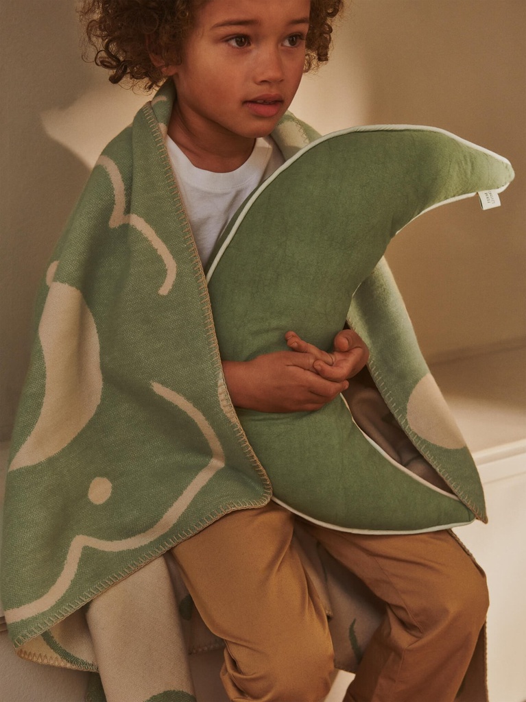Plaid Skye – Tea Green/Parchment — vue 5