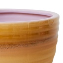 AFC0005 vue 2