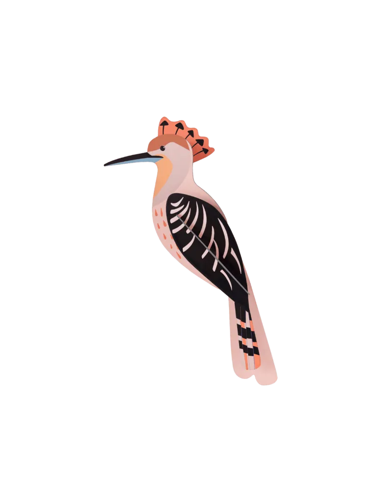 [TTM212] Oiseau du jardin – huppe