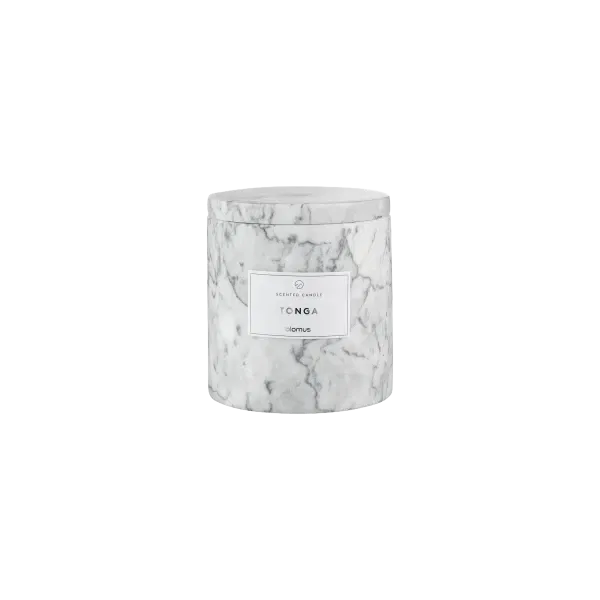 [65452] Frabli L bougie parfumée - sharkskin - Tonga