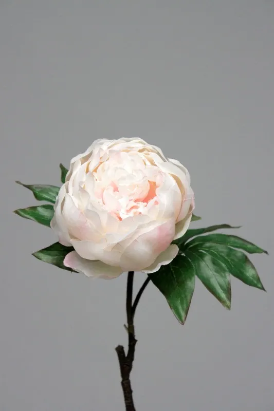 [98020030] Peony peach 48 cm 24/240