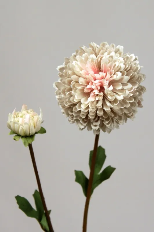Chrysanteme mum  - crimson - 63 cm