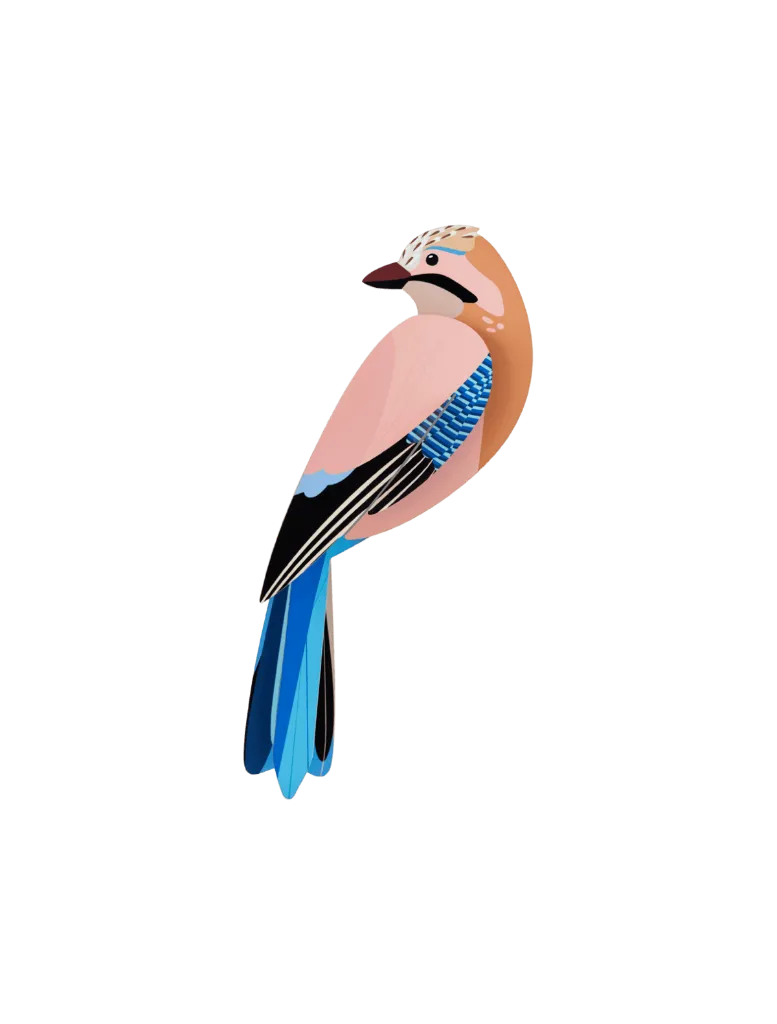 Oiseau du jardin - jay