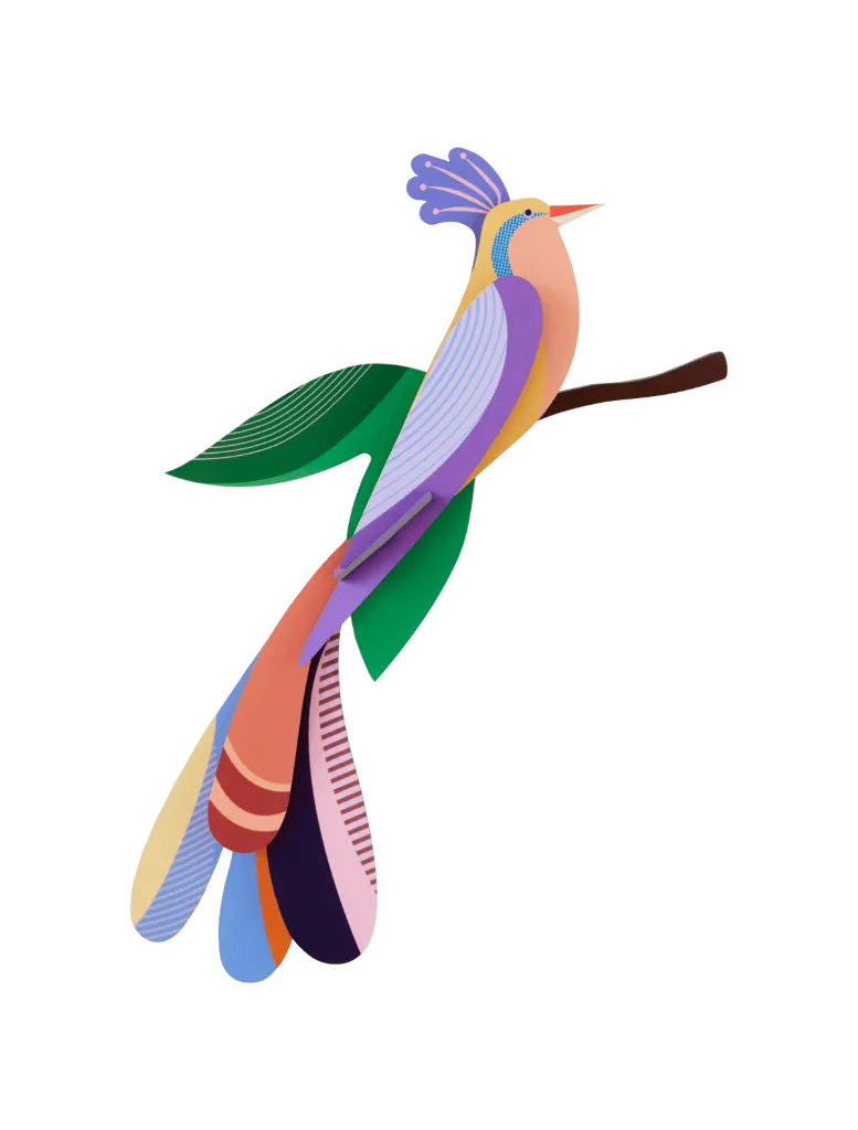 Oiseau de paradis - bisa