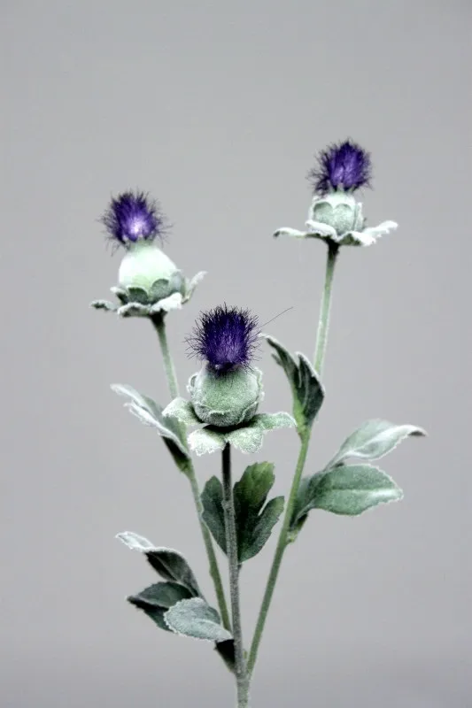 Carthamus blue - 58cm