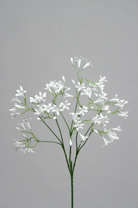 Gypsophil white spray - 50 cm