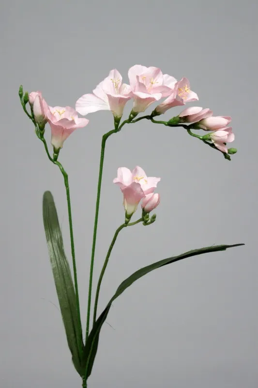 [92056020] Frezzia pink 60cm 12/288