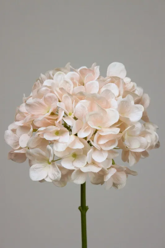 Hortensia pink - 50cm