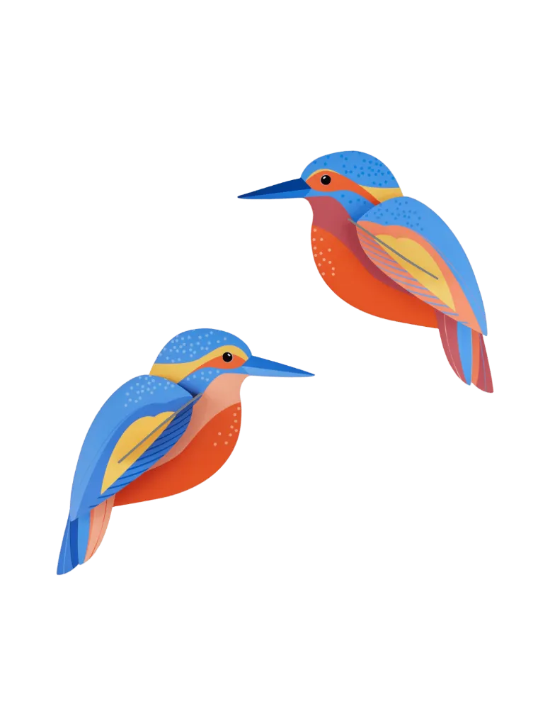 Oiseau du jardin - kingfishers