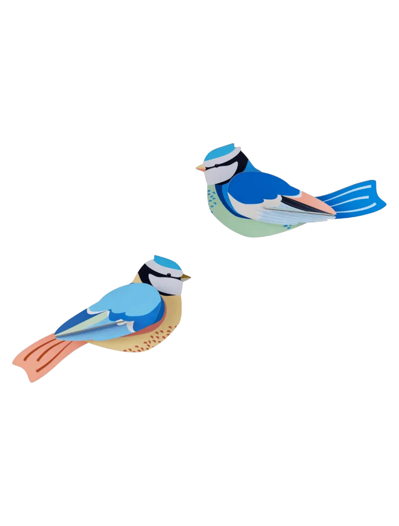 Oiseau du jardin - blue tits