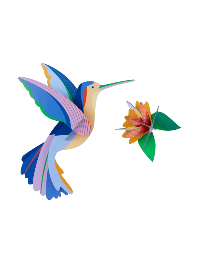 Oiseau de paradis - colibri
