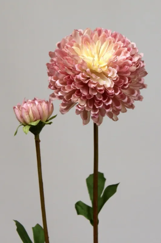 Chrysanteme mum  - lavande - 63 cm