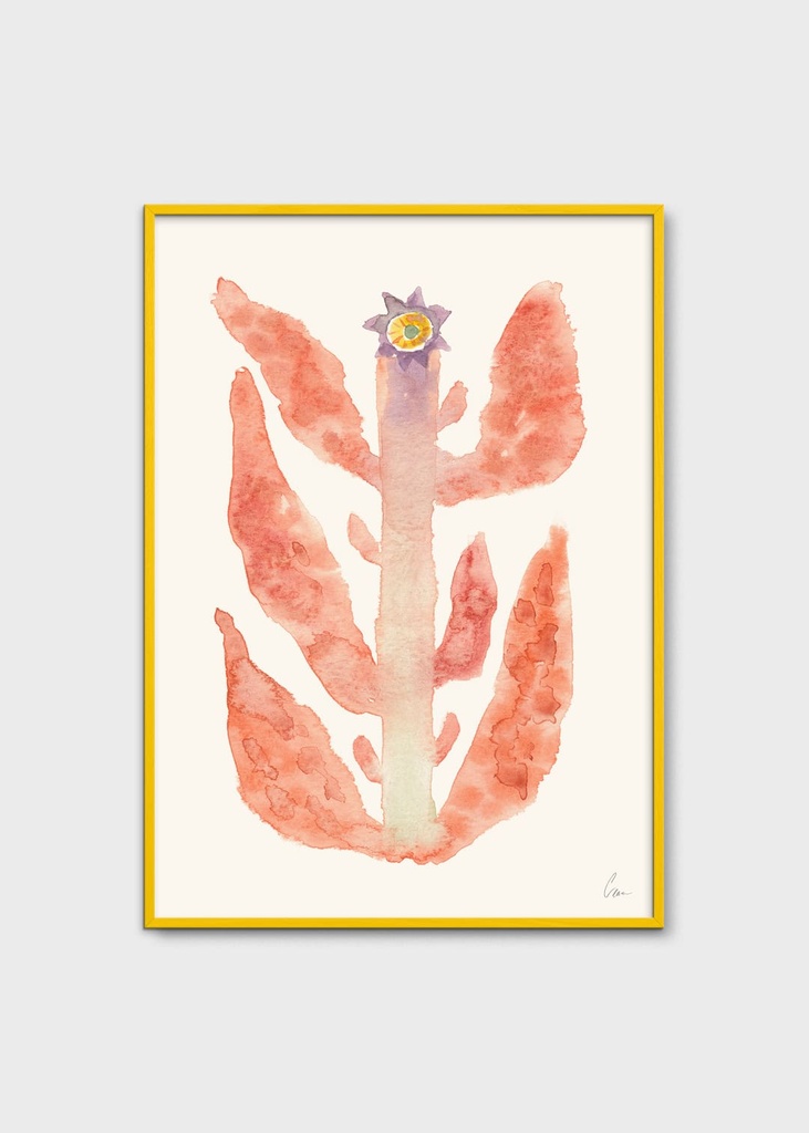 Clara schicketanz, augusti - 30x40 cm