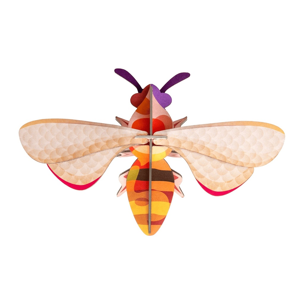 [IMA48] Grand insecte – abeille