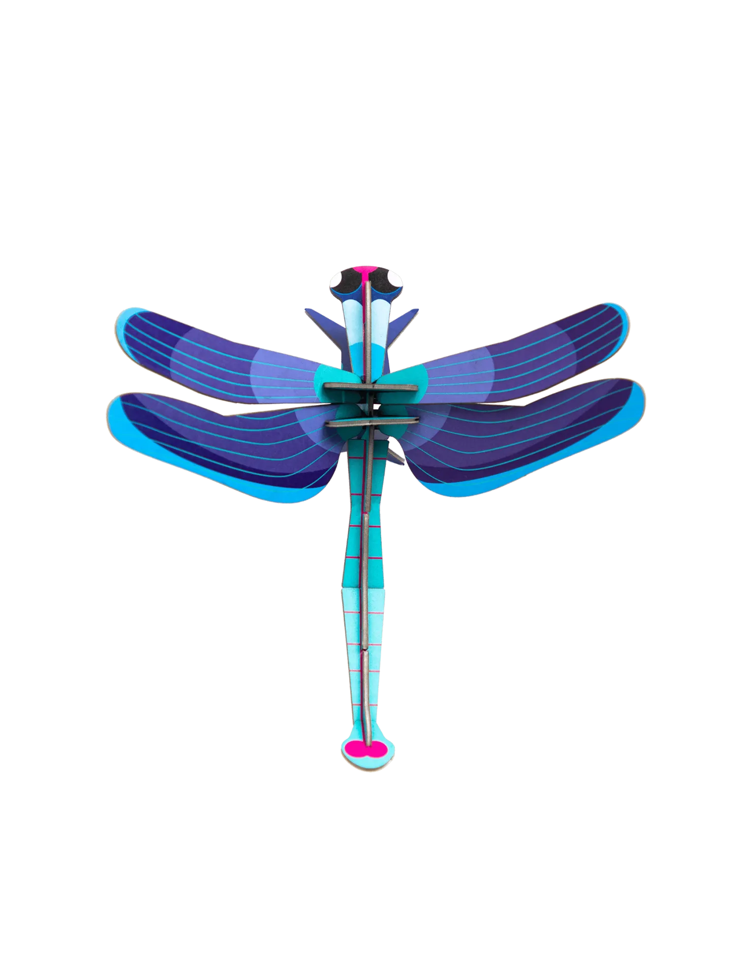 Small insects - sapphire dragonfly