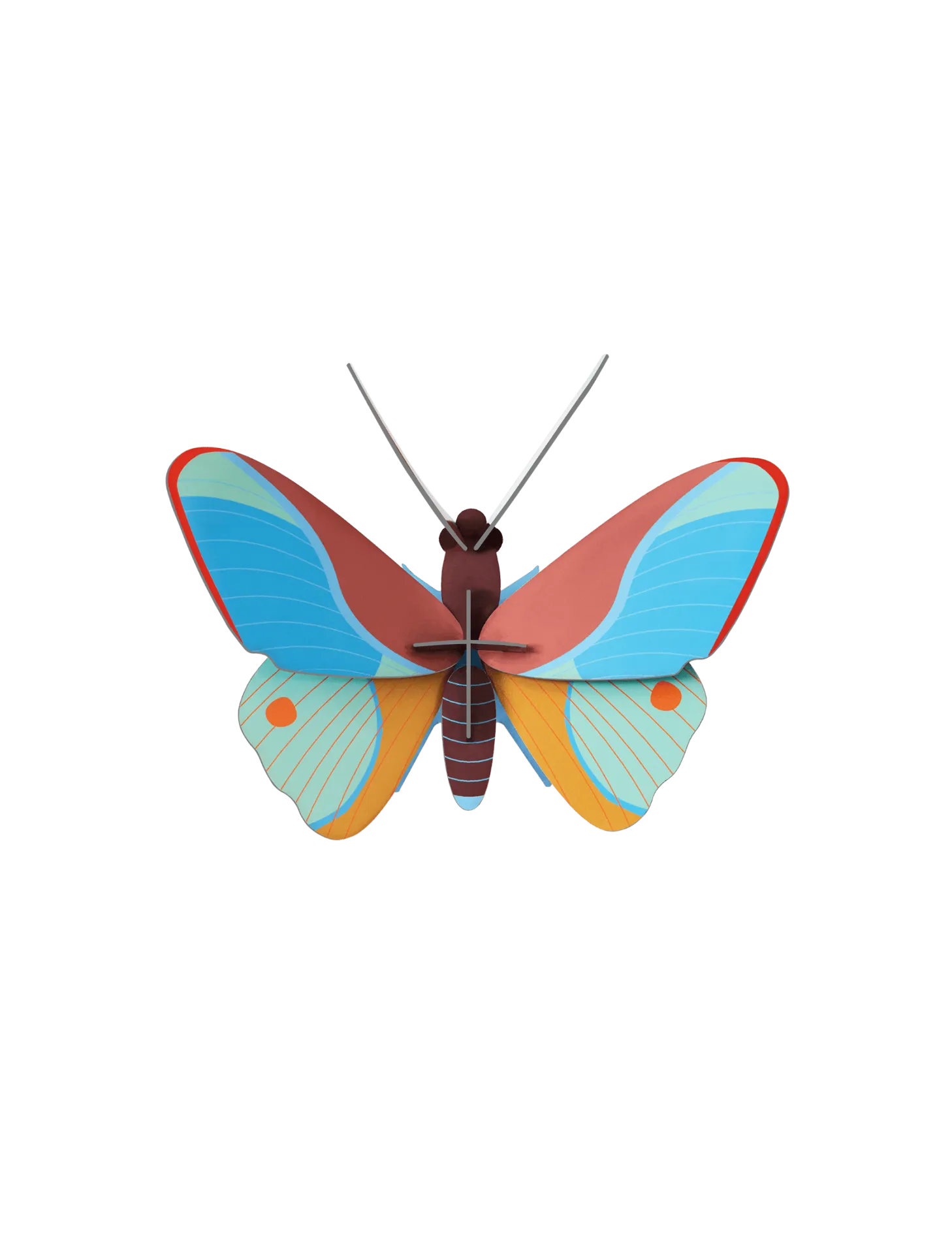 [IMA86] Petit insecte – papillon claudina