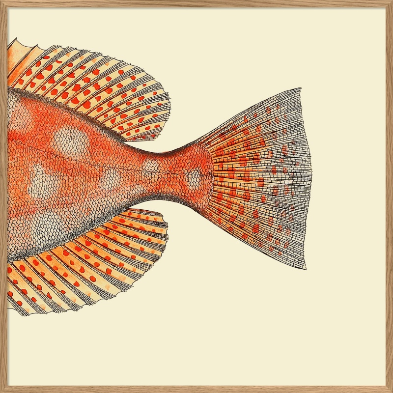 [OFP5611-112X112] Cadre queue de poisson orange 112x112 cm - cadre en chêne