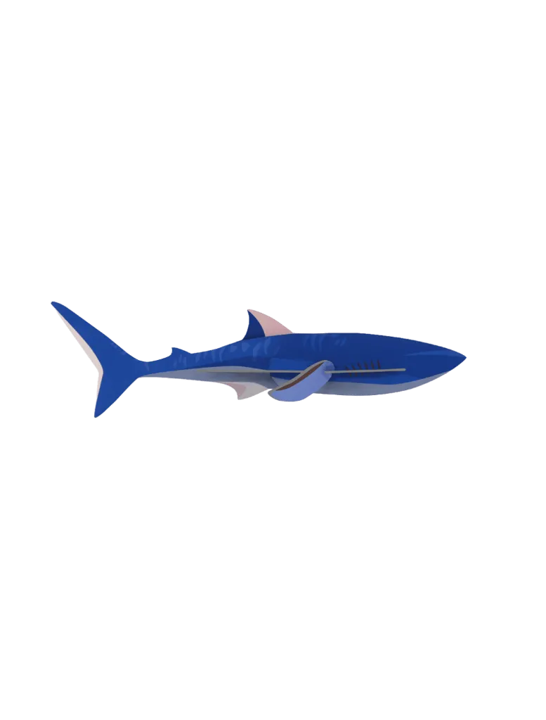 [IMA108] Creature marine - requin