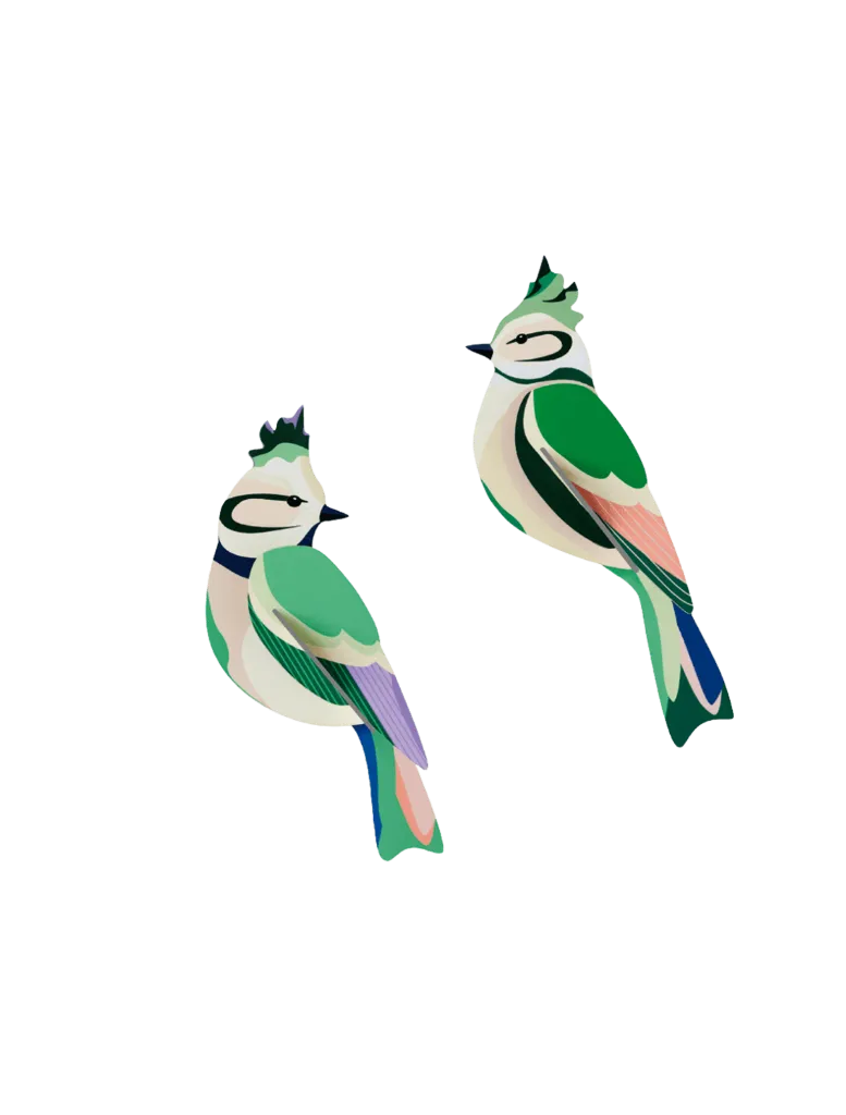 [TTM228] Oiseau du jardin - forest crests