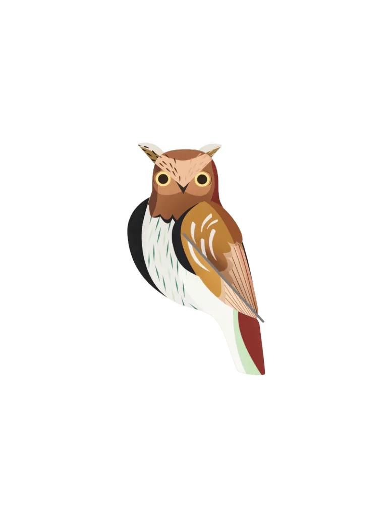 [TTM229] Medium oiseaux - chouette hullotte