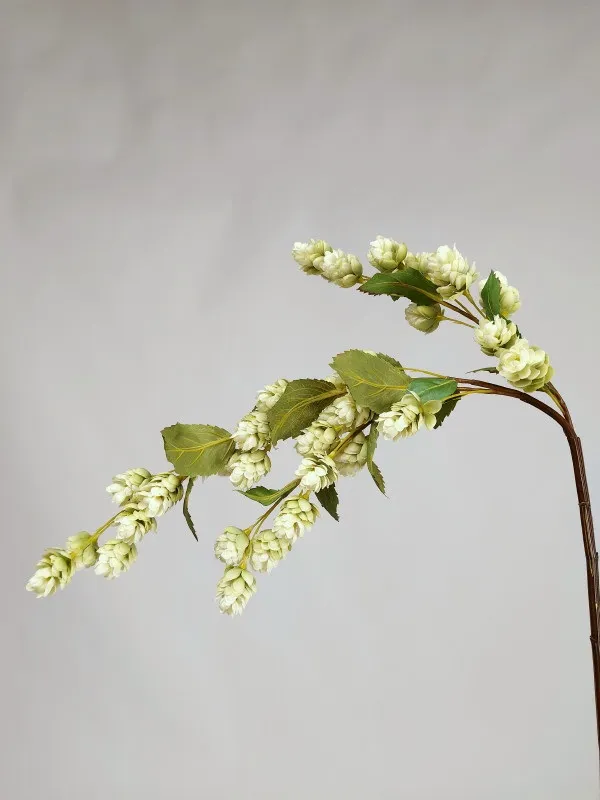 Hop l.gr.3 br.33fl.97cm 12/72