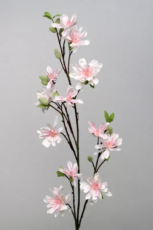 Magnolia pink cream 110cm 6/48