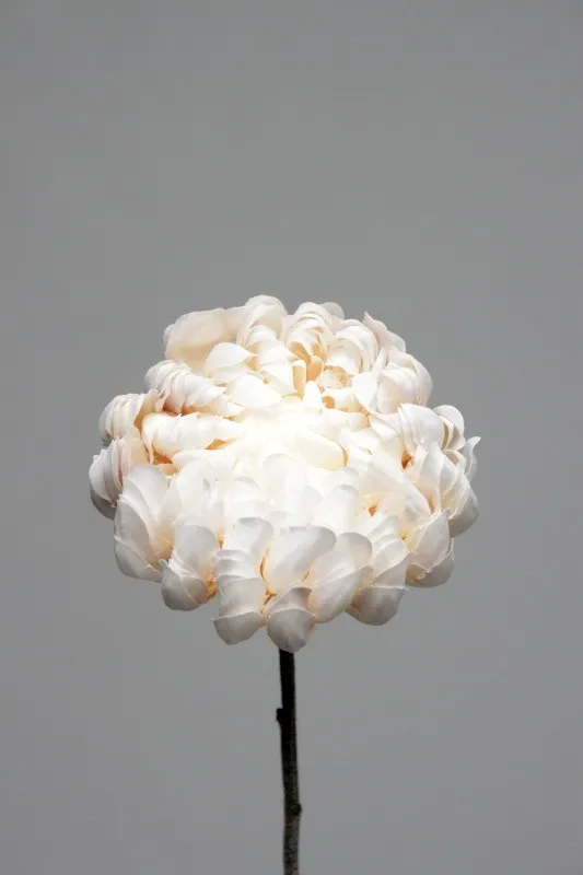 Mum single white 57cm 16/128