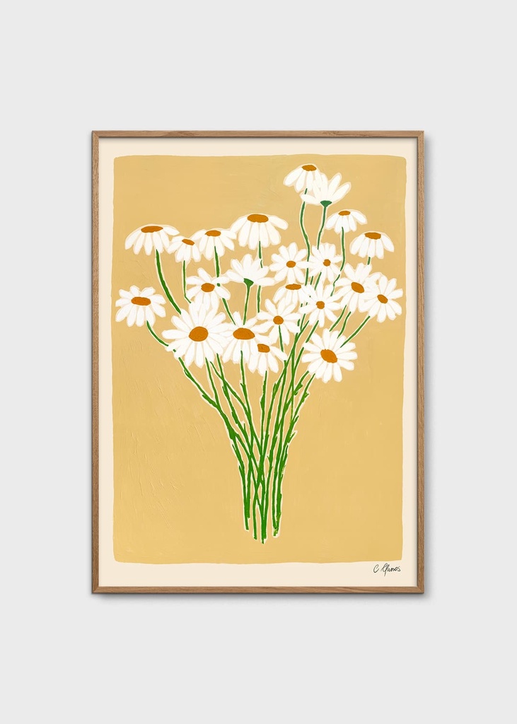 Carla llanos, daisies - 50x70 cm