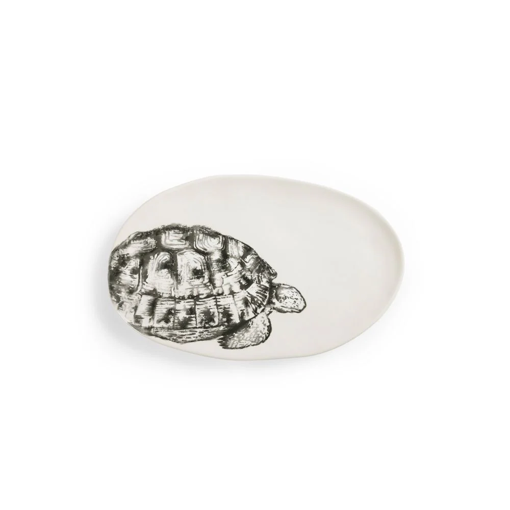 [022437-2003] Céramique Estampe Tortue