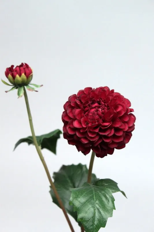 DALHIA BURGUNDY/RD 56cm
