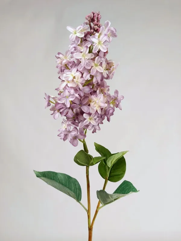 LILAS SPRAY LV. 70cm