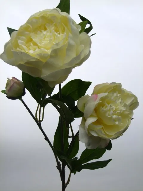 ROSE PEONY x3 WHITE 70cm