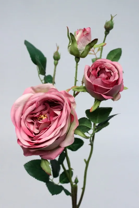 ROSE SPRAY x5 MAGENTA 60cm
