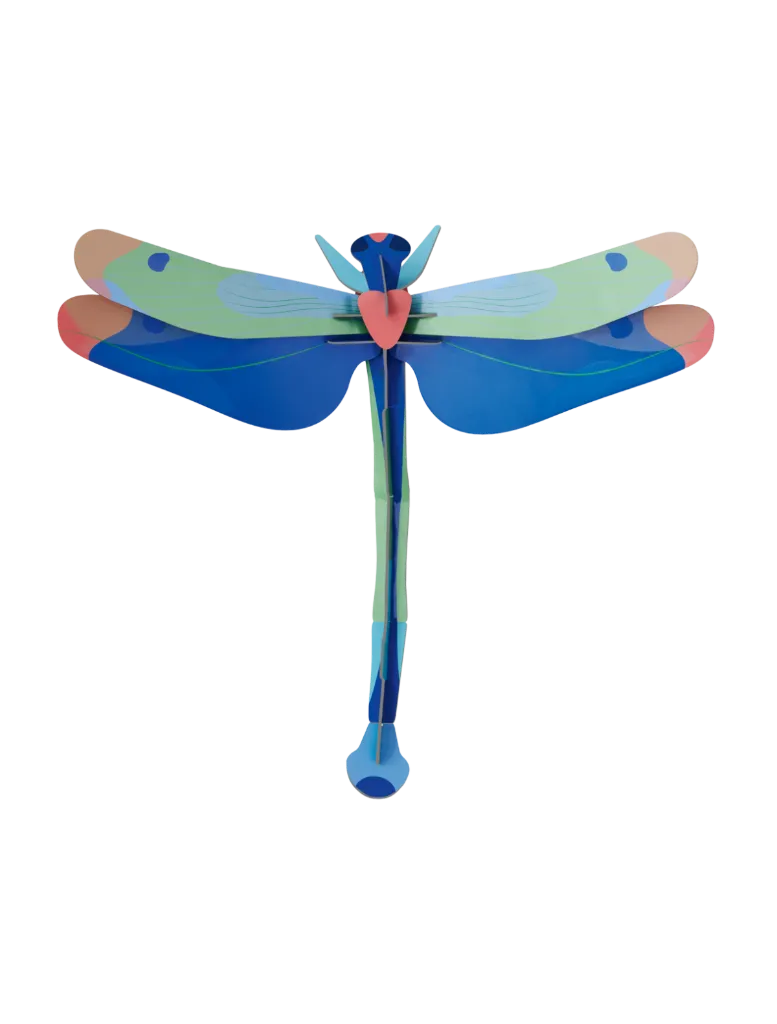 Big insects - Blue Dragonfly