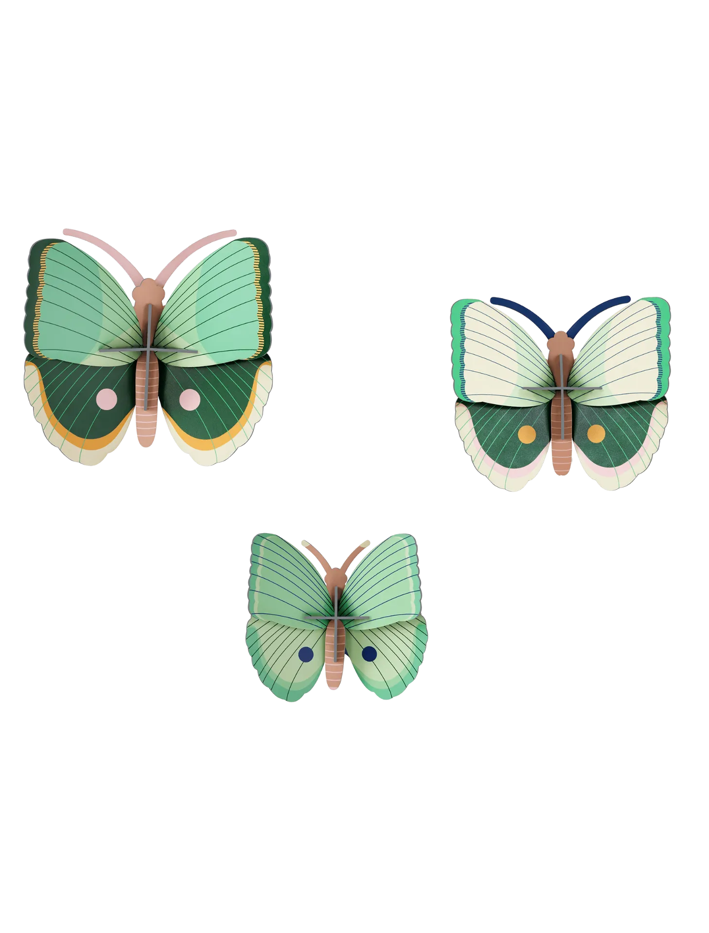 Big insects - Fern Striped Butterflies, set of 3