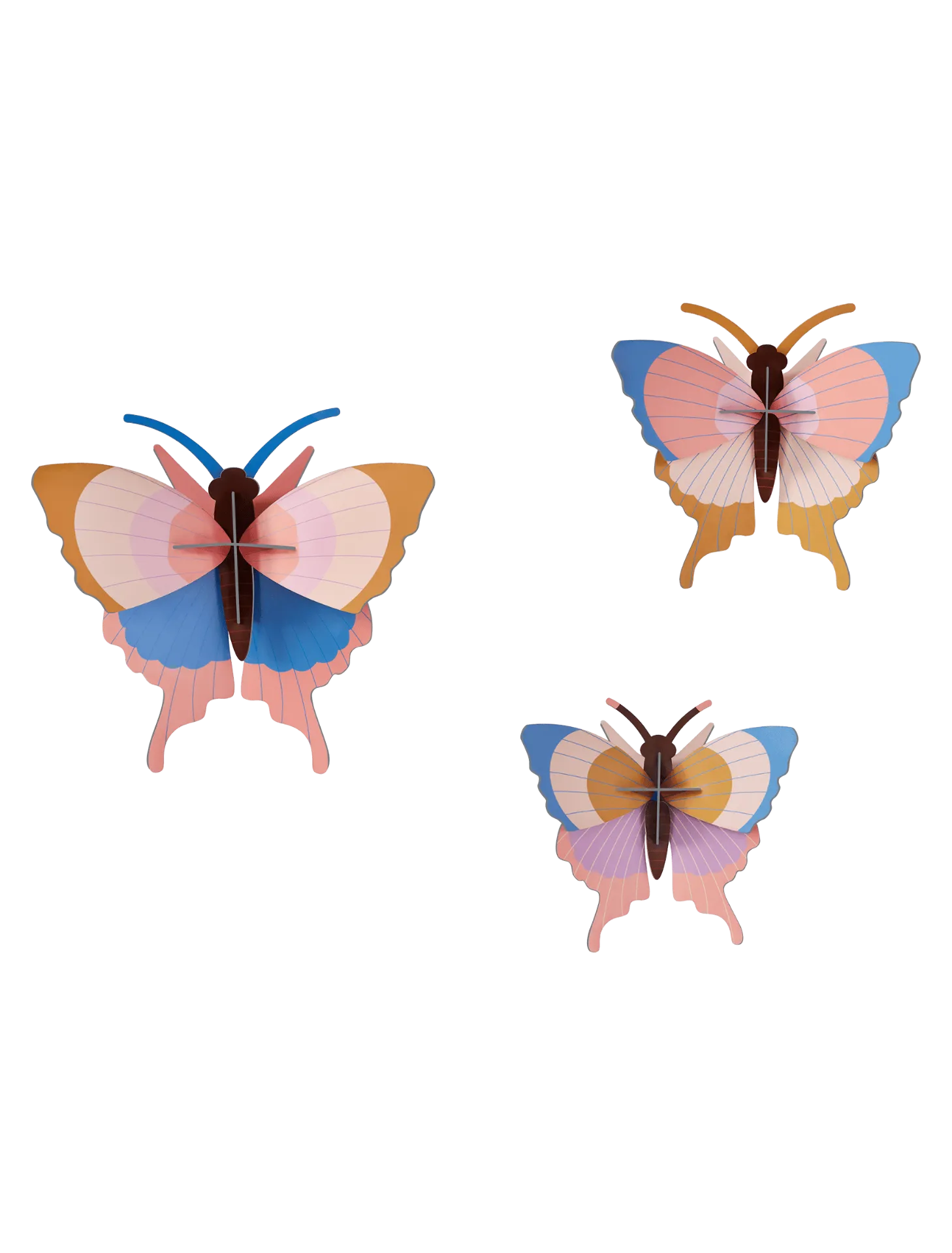 Big insects - Gold Rim Butterflies, set of 3