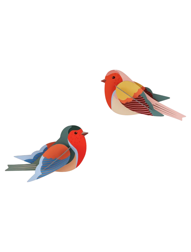 Oiseau du jardin - Citrinella Pair
