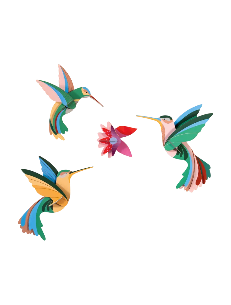 [TTM235] Oiseau de paradis - Dance of Hummingbirds