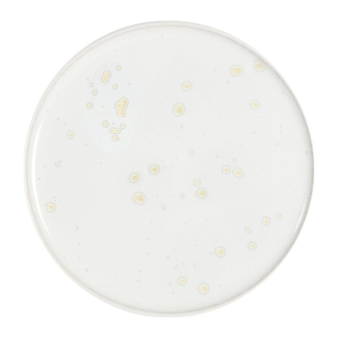 Assiette XS partition nacre