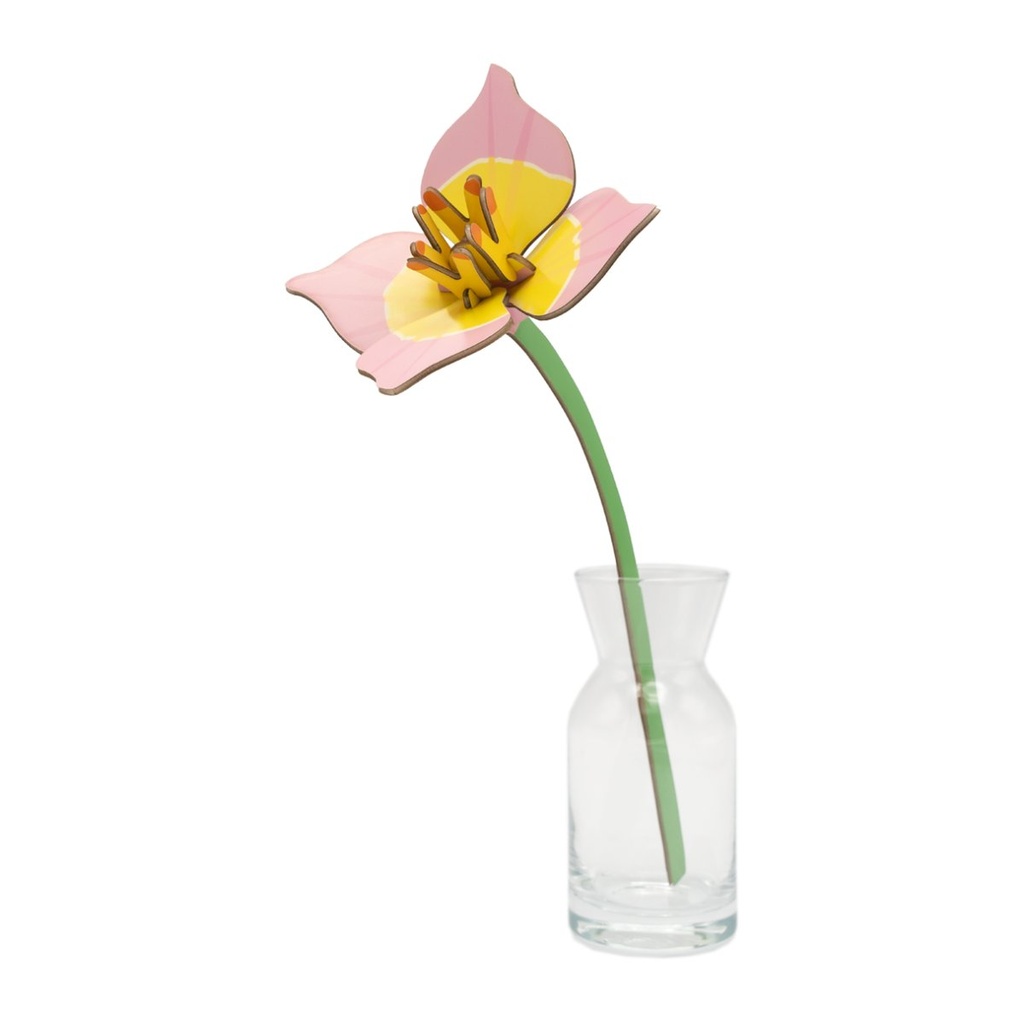 Petite fleur éternelle - tulipe rosée