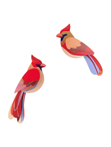 [TTM211] Oiseaux du jardin – cardinaux