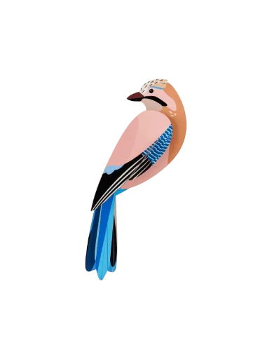 [TTM213] Oiseau du jardin – geai