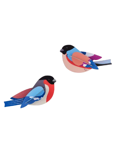 [TTM210] Oiseaux du jardin – pinsons