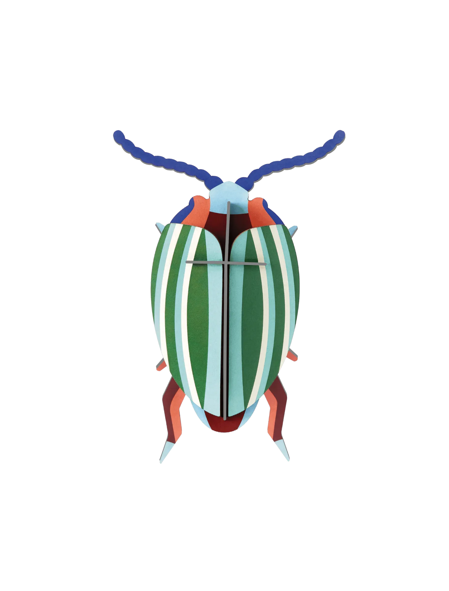 [IMA76] Petit insecte – scarabée des feuilles arc-en-ciel