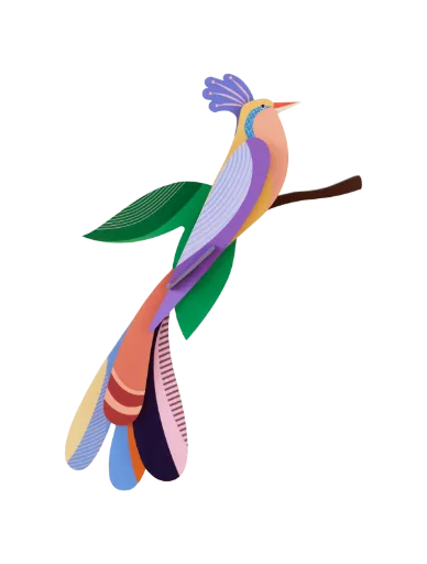 [TTM221] Oiseau de paradis - bisa