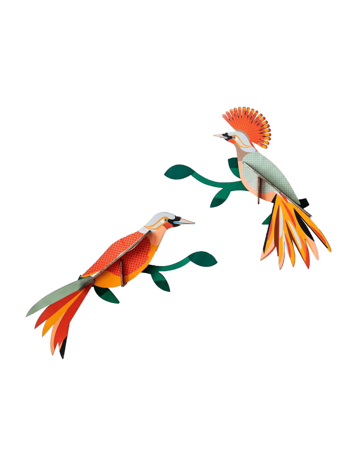 [TTM84] Oiseau de paradis - obi