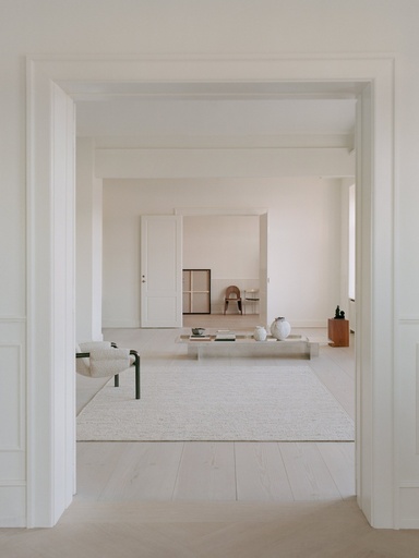 [20517708] Tapis agner - 300x400 cm - beige